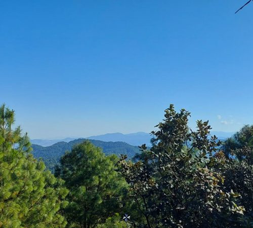 WhatsApp Image 2025-02-08 at 14.34.17 (1) WhatsApp Image 2025-02-08 at 14.34.17 (1)