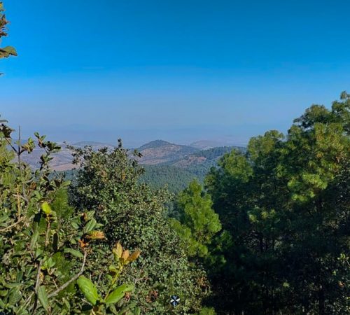 WhatsApp Image 2025-02-08 at 14.34.18 (1) WhatsApp Image 2025-02-08 at 14.34.18 (1)