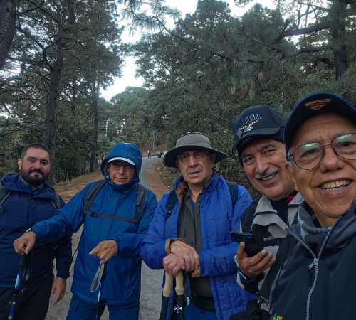 WhatsApp Image 2025-02-08 at 14.47.12 WhatsApp Image 2025-02-08 at 14.47.12