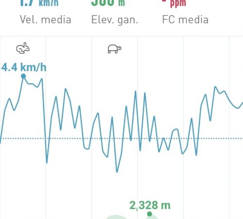 WhatsApp Image 2025-02-24 at 21.30.48 (1) WhatsApp Image 2025-02-24 at 21.30.48 (1)