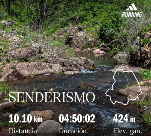 WhatsApp Image 2025-03-22 at 14.22.22 WhatsApp Image 2025-03-22 at 14.22.22