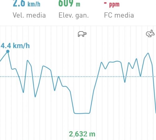 WhatsApp Image 2025-04-23 at 09.12.52 WhatsApp Image 2025-04-23 at 09.12.52