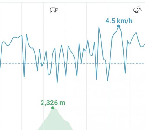 WhatsApp Image 2025-04-27 at 14.15.08 WhatsApp Image 2025-04-27 at 14.15.08