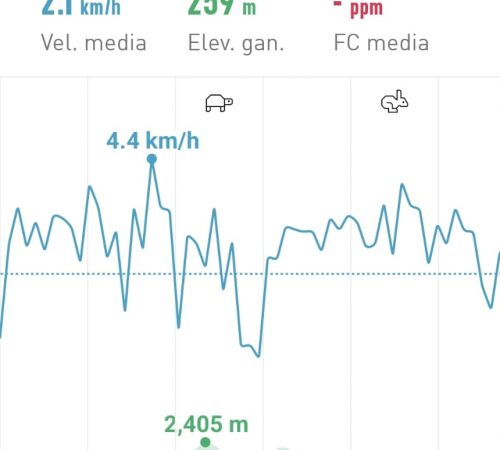 WhatsApp Image 2025-06-30 at 13.16.59 WhatsApp Image 2025-06-30 at 13.16.59