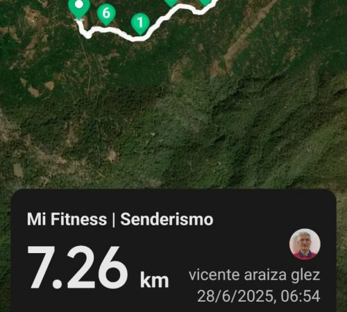 WhatsApp Image 2025-06-30 at 13.21.06 WhatsApp Image 2025-06-30 at 13.21.06